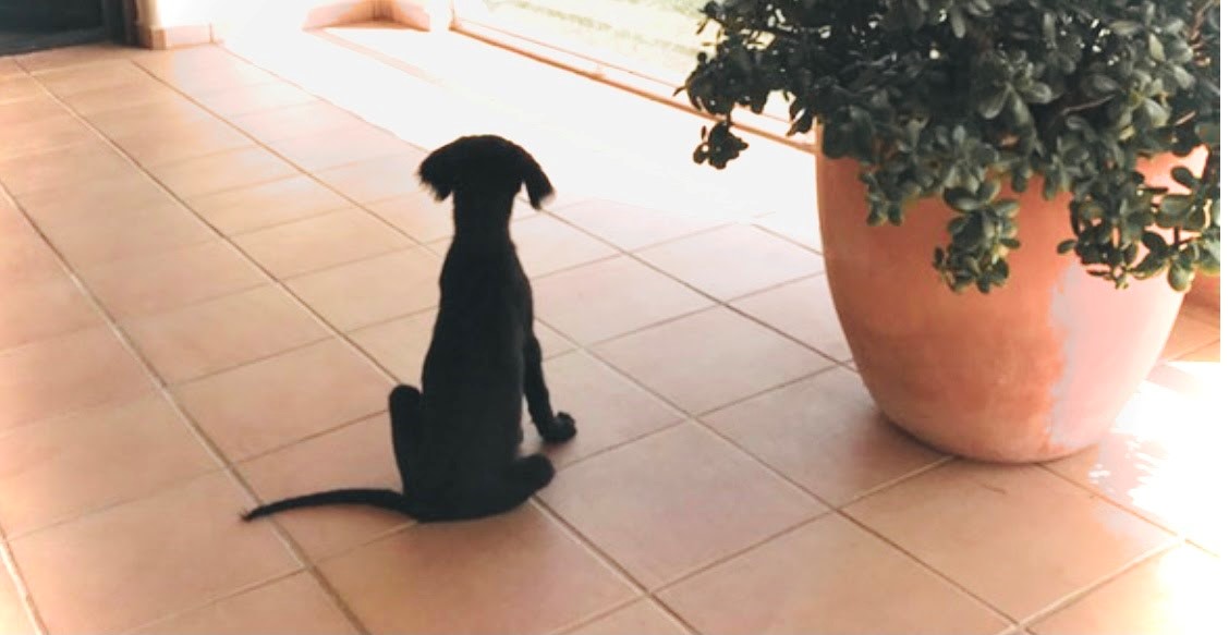 Featured image for “Deze tip helpt je om je doelen makkelijker te halen”